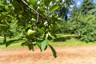 7306 24th Ave, Hugo, MN 55038 - Photo 40