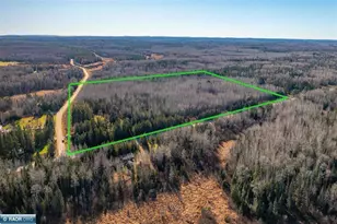 9141 Burghardt Rd, Angora Township, MN 55723 - Photo 10