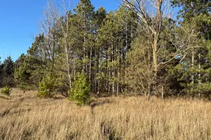 27938 104th St NW, Zimmerman, MN 55398 - Photo 30