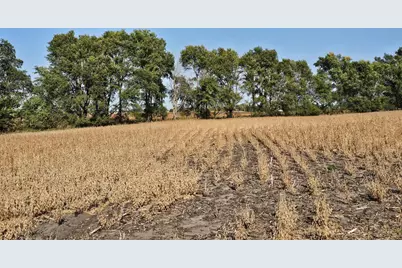 - Mamre Twp, Pennock, MN 56279 - Photo 10