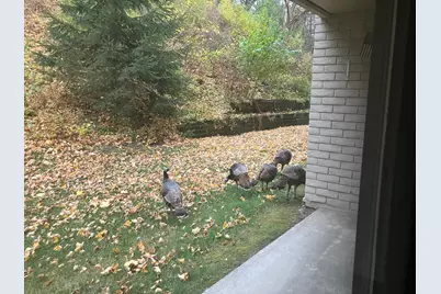 625 19th Street NW #103, Rochester, MN 55901 - Photo 30