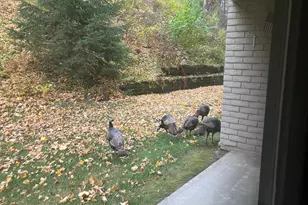 625 19th St NW, Rochester, MN 55901 - Photo 30