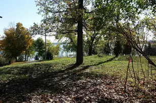 893 White Clover Beach Rd, Detroit Lakes, MN 56501 - Photo 1