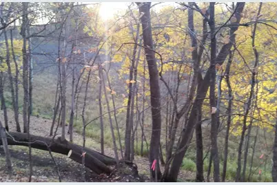 897 White Clover Beach Road, Detroit Lakes, MN 56501 - Photo 8