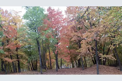 897 White Clover Beach Road, Detroit Lakes, MN 56501 - Photo 10