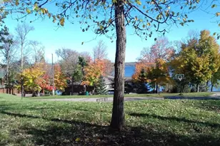 897 White Clover Beach Rd, Detroit Lakes, MN 56501 - Photo 1