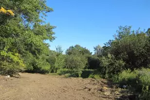 12200 Fremont Ln, Zimmerman, MN 55398 - Photo 8