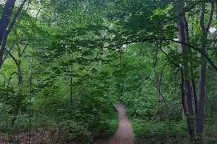 5920 Wisconsin Cir N, New Hope, MN 55428 - Photo 24