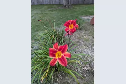 3913 Oxford Drive, Woodbury, MN 55125 - Photo 78