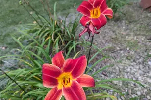 3913 Oxford Dr, Woodbury, MN 55125 - Photo 78