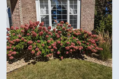 3913 Oxford Drive, Woodbury, MN 55125 - Photo 80