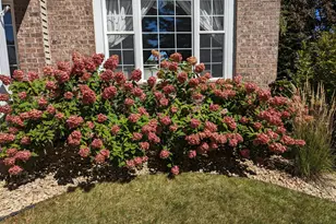 3913 Oxford Dr, Woodbury, MN 55125 - Photo 80