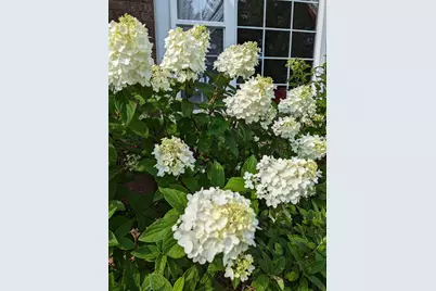 3913 Oxford Drive, Woodbury, MN 55125 - Photo 82