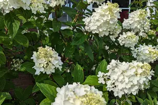 3913 Oxford Dr, Woodbury, MN 55125 - Photo 82