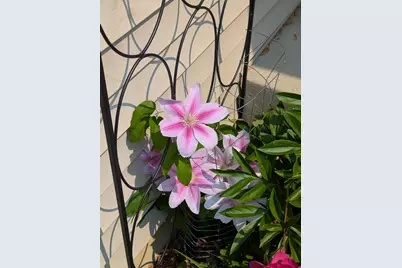 3913 Oxford Drive, Woodbury, MN 55125 - Photo 60