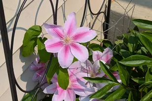 3913 Oxford Dr, Woodbury, MN 55125 - Photo 60