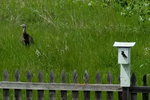 3913 Oxford Dr, Woodbury, MN 55125 - Photo 72