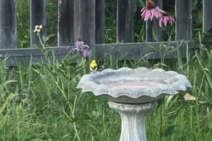 3913 Oxford Dr, Woodbury, MN 55125 - Photo 70