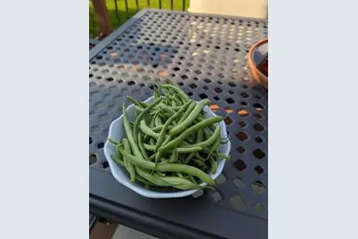 3913 Oxford Drive, Woodbury, MN 55125 - Photo 58