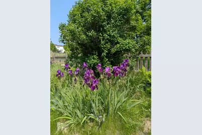 3913 Oxford Drive, Woodbury, MN 55125 - Photo 62