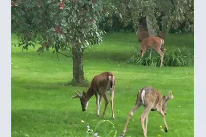 1051 100th Avenue #H, Amery, WI 54001 - Photo 40