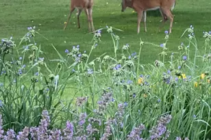 1051 100th Ave, Amery, WI 54001 - Photo 42