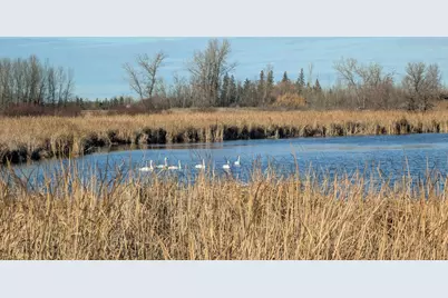 610 Cleveland Avenue SW, McIntosh, MN 56556 - Photo 54