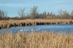610 Cleveland Ave SW, McIntosh, MN 56556 - Photo 54
