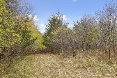 285 B N Old Crystal Bay Road, Orono, MN 55356 - Photo 10