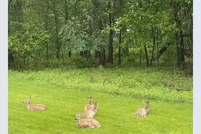 24132 Thames Street NE, Stacy, MN 55079 - Photo 46