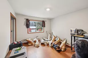 17385 142nd St, Hamburg, MN 55339 - Photo 18