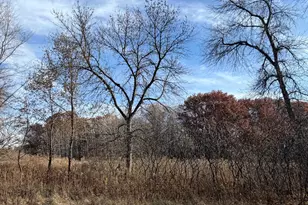 Xxxx Xerus Street NW, Zimmerman, MN 55398 - Photo 1