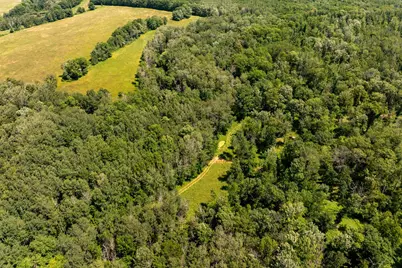 Tbd 48th Street SW, Pine River, MN 56474 - Photo 4