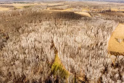 Tbd 48th Street SW, Pine River, MN 56474 - Photo 26