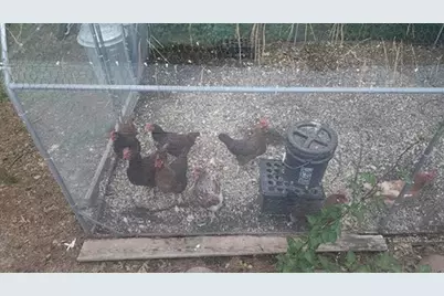 925 14th Street, Cloquet, MN 55720 - Photo 52