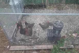 925 14th St, Cloquet, MN 55720 - Photo 52