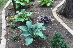 197 Broadwater Ln NE, Longville, MN 56655 - Photo 62