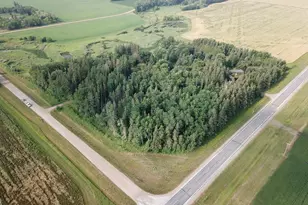 25913 Co Rd 129, Roseau, MN 56751 - Photo 4