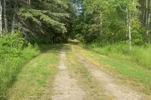 25913 Co Rd 129, Roseau, MN 56751 - Photo 8