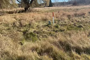 36123 Elmcrest Ave NE, North Branch, MN 55056 - Photo 8