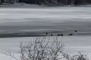 6255 232nd St W, Faribault, MN 55021 - Photo 66