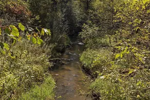 16870 Creek Ridge Trail, Minnetonka, MN 55345 - Photo 44