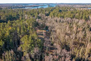 1346 Bear Head State Park Rd, Ely, MN 55731 - Photo 24