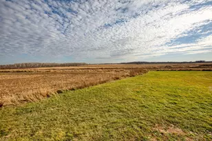 16818 Hwy 95 NE, Foley, MN 56329 - Photo 6