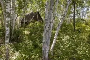 22510 Spider Is, Mantrap Twp, MN 56467 - Photo 4