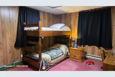 1008 Laurel Street, Littlefork, MN 56653 - Photo 40