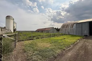 78994 160th St, Sacred Heart, MN 56285 - Photo 10