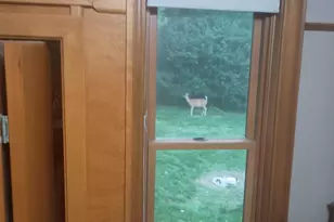 78994 160th St, Sacred Heart, MN 56285 - Photo 110