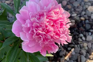 26265 Hunter Ave, Wyoming, MN 55092 - Photo 74