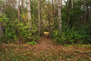 8353 177th Ln NE, Forest Lake, MN 55025 - Photo 34